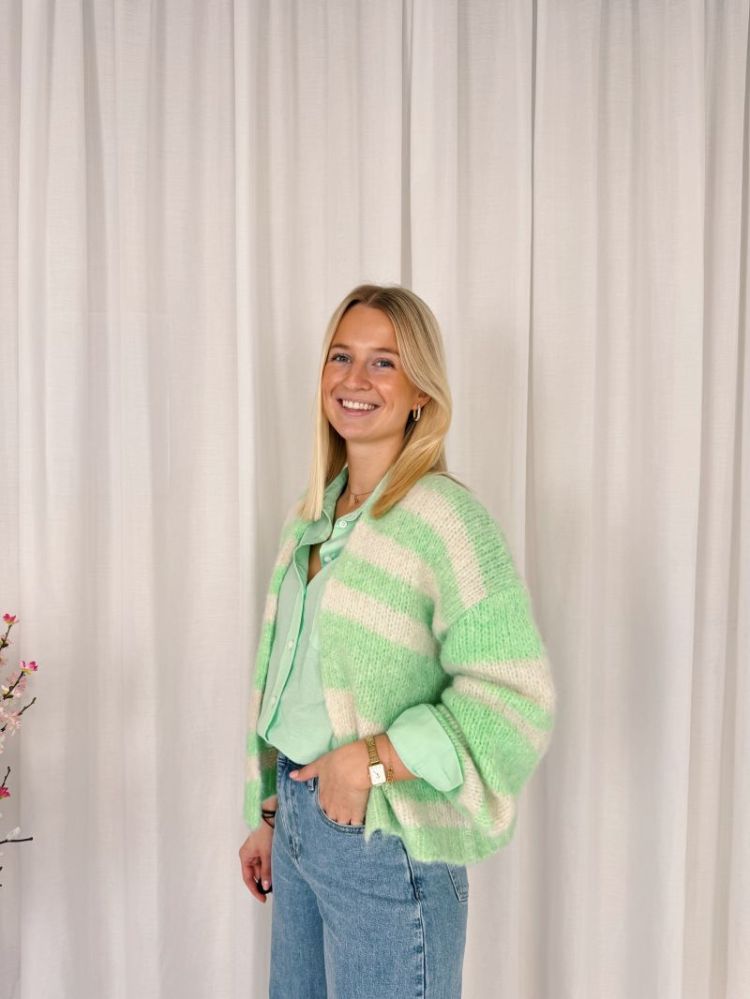 Marly Shirt Pastel Green