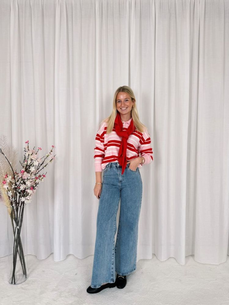 Lovy Polo Knit Pink / Red