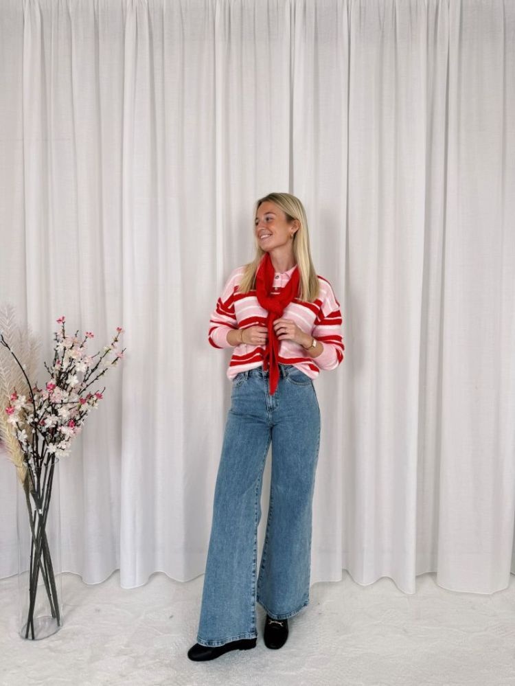 Lovy Polo Knit Pink / Red