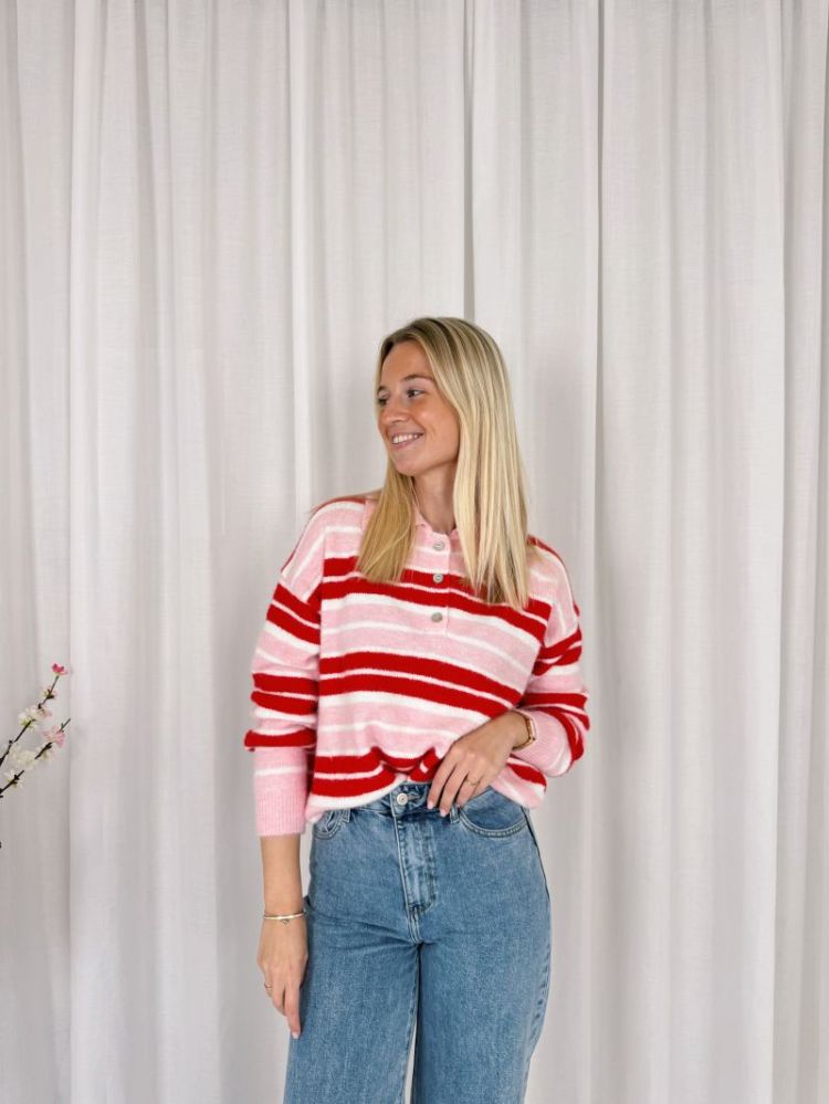 Lovy Polo Knit Pink / Red