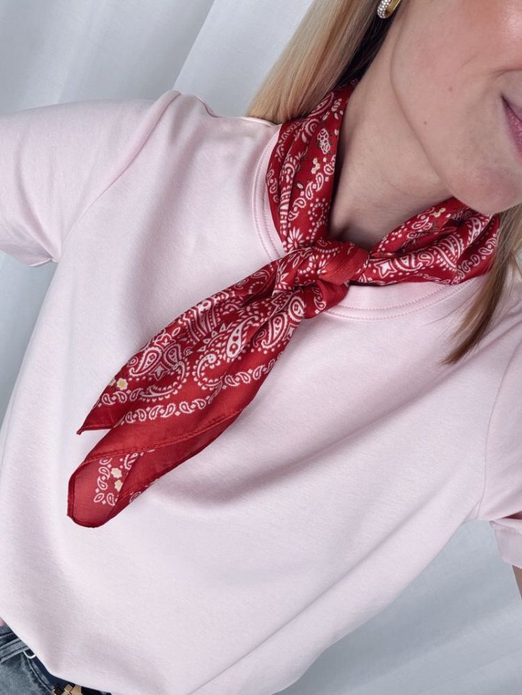 Violet Silk Scarf Red