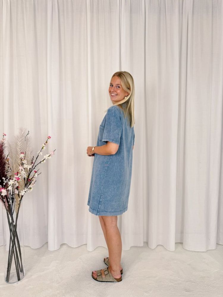 Luna Denim Dress Denim Blue