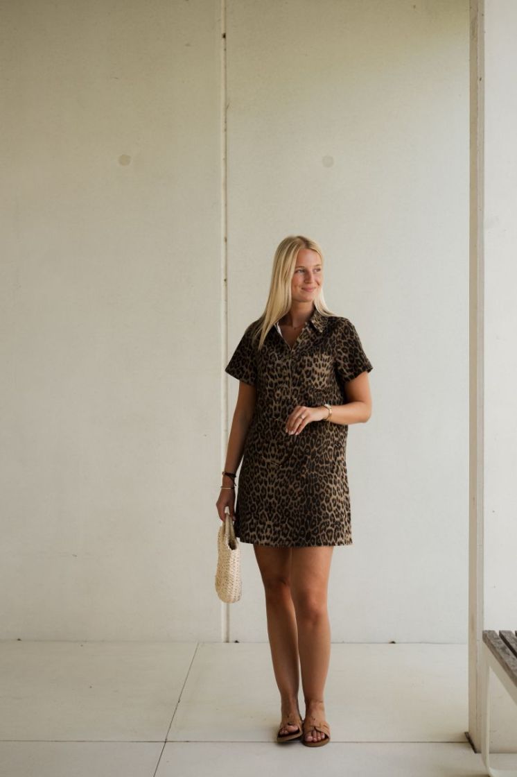 Rhune Denim Dress Leopard