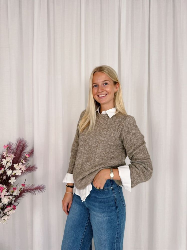 Melanie Pullover Beige Melange