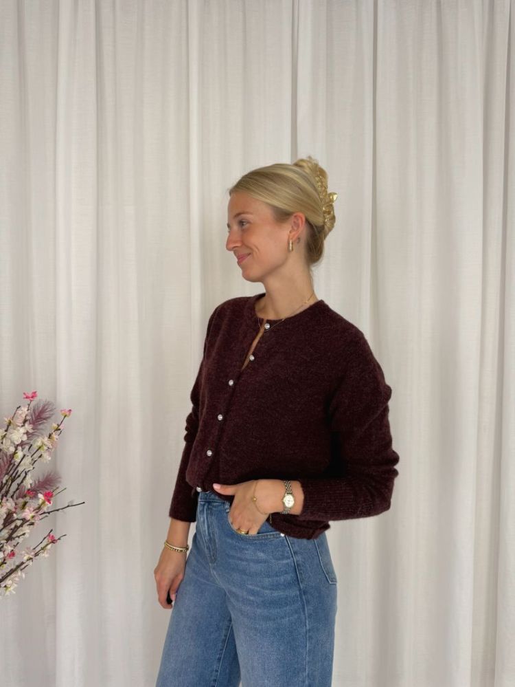 Niel Knit Cardigan Fudge Melange